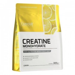 Creatine Monohydrate (sabores) - 300g