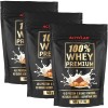 100% Whey Premium 3 x 500g Activlab -  Comprar na NutriBody