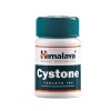 Cystone Himalaya - 100 Comprimidos
