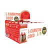 L-Carnitine 3000 Gold Nutrition - Melancia