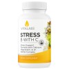 Stress B With C 90 Vitalabs