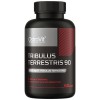 Tribulus Terrestris (90%) 60 Caps