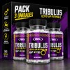 Pack 3 Tribulus Testo UP 60 Cápsulas – 95% Saponinas – Real Pharm