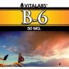 Vitamina B6 - 100 cápsulas 1