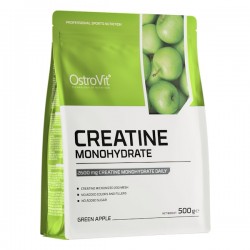 Creatine Monohydrate (sabores) - 500g