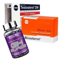 Testosterol 250 + Biosterol ® + GH Surge - 30 + 30 + 90 Capsulas