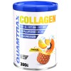 Collagen  300g Quamtrax — Tropical