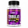 Tribulus Testo UP 60 Cápsulas – 95% Saponinas – Real Pharm