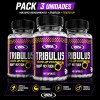Pack 3 Tribulus Testo UP 60 Cápsulas – 95% Saponinas – Real Pharm